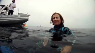 in memoria rossana maiorca.m4v Content