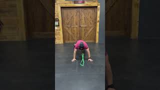 Banded Plank Hops - Scaled