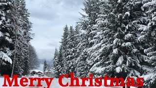 Merry Christmas from my home to yours! Happy Mail from Jenny Plume