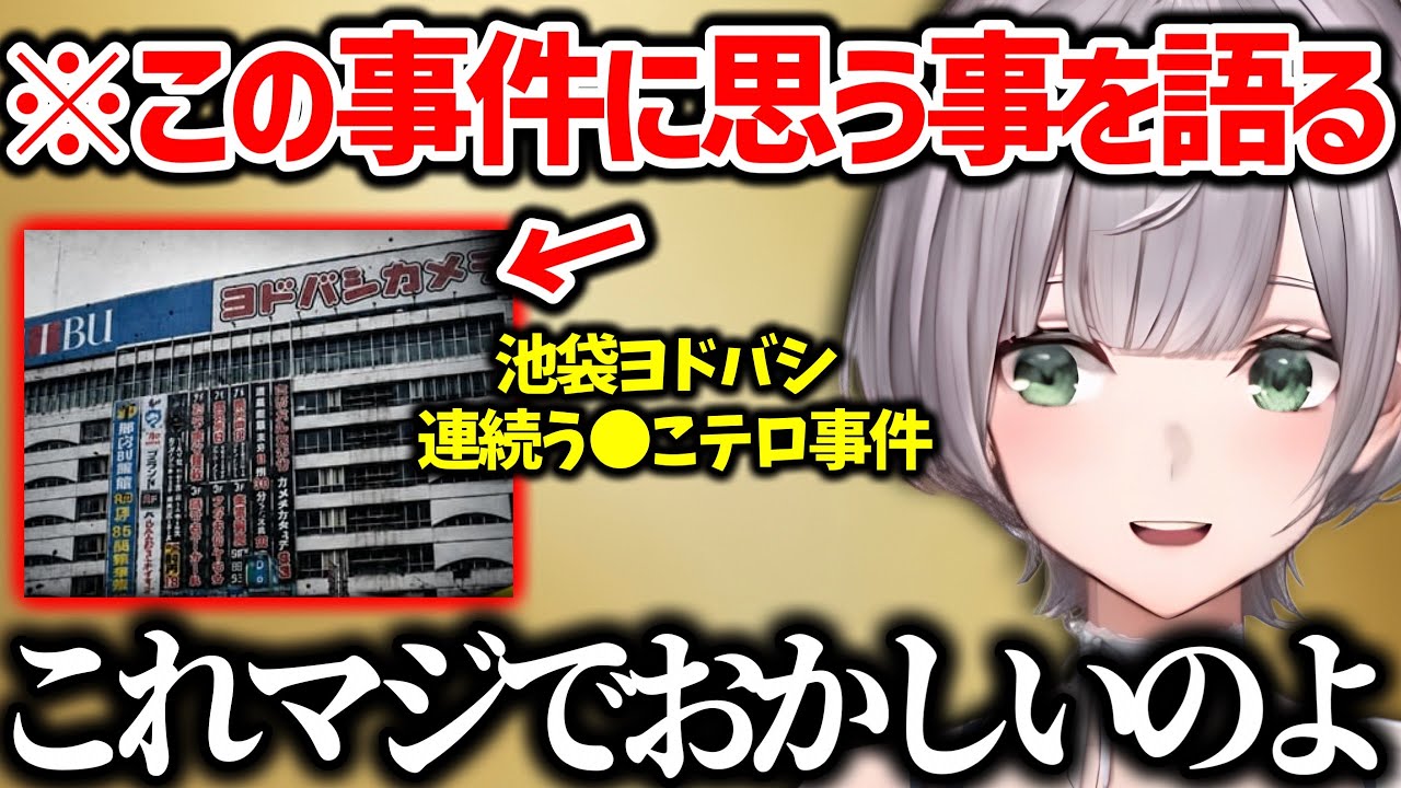 【ノエル雑談まとめ】中古品が苦手な理由、池袋ヨドバシ事件、捻挫して労災の基準に頭を悩ます【白銀ノエル ホロライブ 切り抜き】