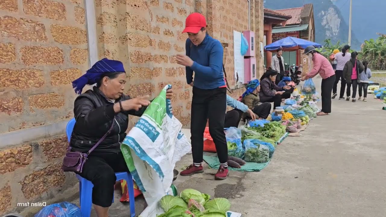 ПОЛНОЕ ВИДЕО: Сбор овощей на продажу, реконструкция рыбного пруда на ферме.