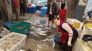 Traditional Seafood auction seafood fish marketing Keelung fishmarket