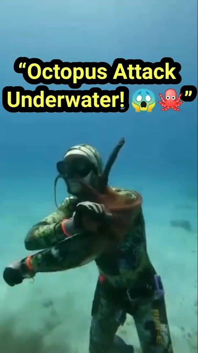 Octopus Grabs Diver’s Neck Underwater! 😱🐙 #EnglishShorts