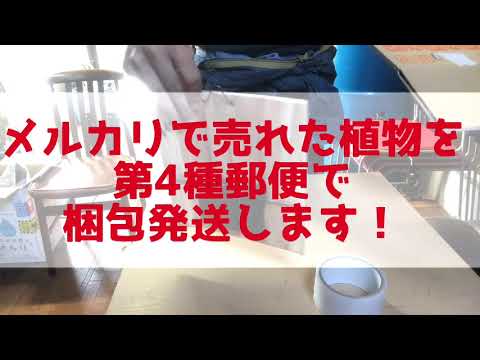 第4種郵便で植物を梱包発送 Youtube