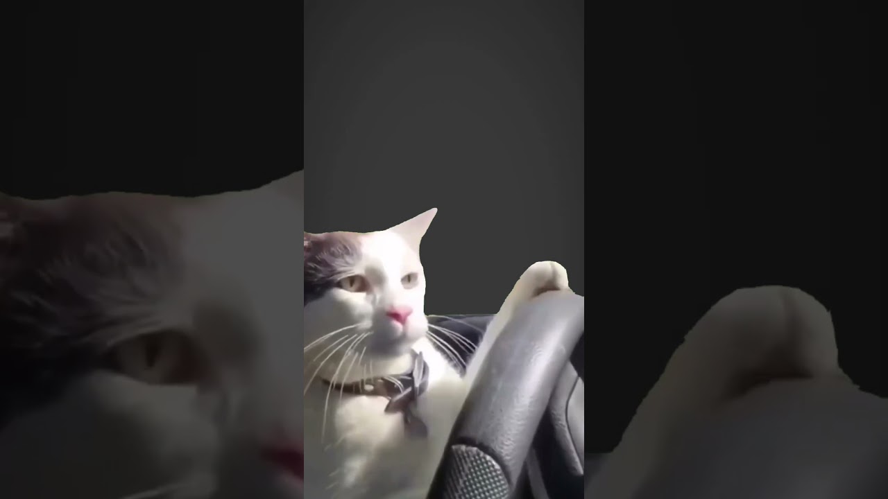 Car driving edit — Addy's World YouTube video