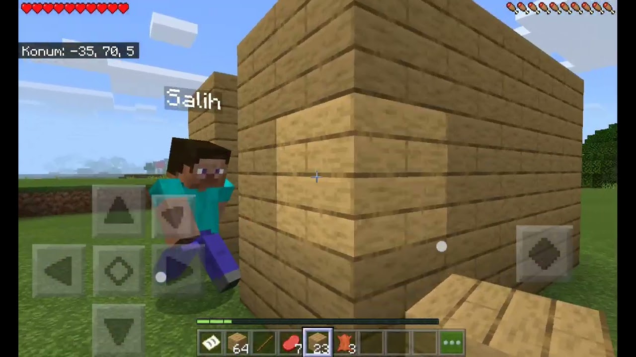 Minecraft bölüm 1