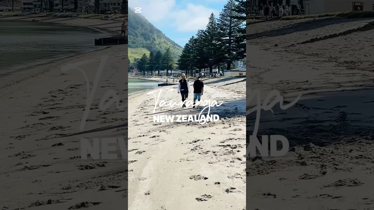 Tauranga New Zealand #travelvlog #cruise #travel #tauranga #nz