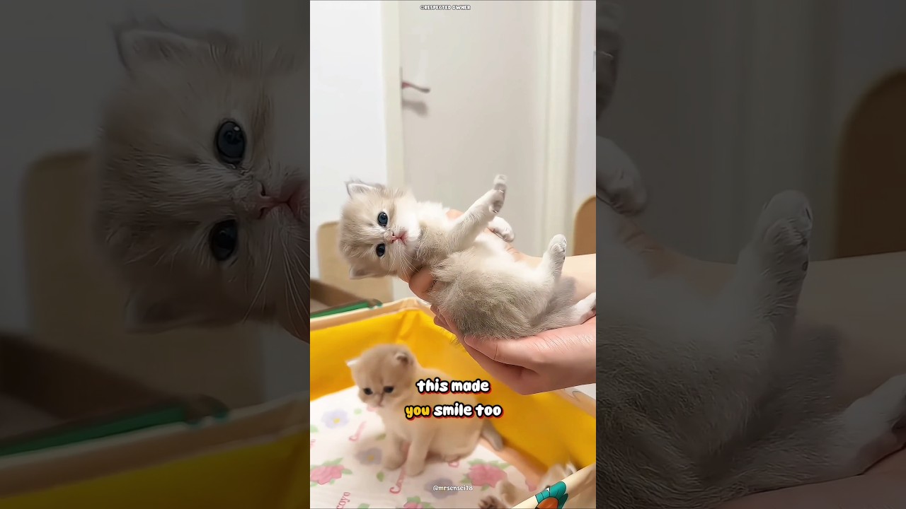 Крошечные лапки, большие разливы и море очарования — этот молочный хаос растопит ваше сердце 🥛🐾💖