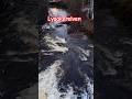 Lysaker Oslo Hidden Waterfall ASMR ✨ | 🌊🏛️  🇳🇴  #nature4k  #norway #shorts #nature