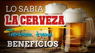 Beneficios Y Propiedades Medicinales De La Cerveza Que No Conocias