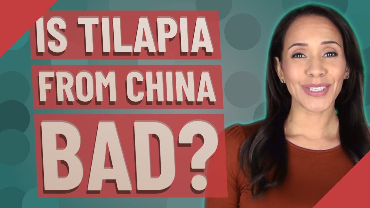 Is tilapia from China bad? - YouTube