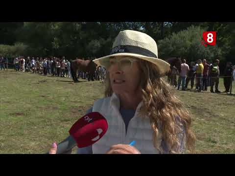 LEÓN NEWS 2 PM (8/31/26)