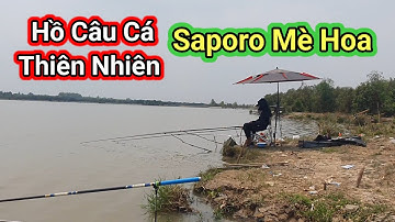 CÂU CÁ 22# - Hồ câu cá "Saporo Mè Hoa" khu vực (Rừng Sến - Mỹ Hạnh Bắc - Đức Hòa - Long An)