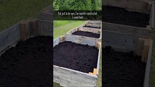 I built 5 raised garden beds in hopes that NOTHING would grow