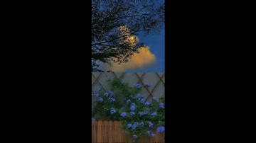 قرآن كريم بصوت القارئ هزاع البلوشي// حالات واتس اب ♥🌿