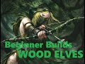 Wood Elves | Warhammer 3 Beginner Builds