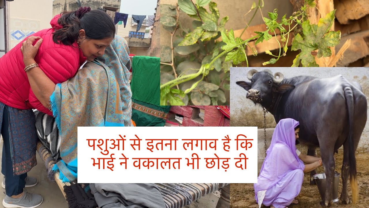 मायके पहुँच गई 😍😍