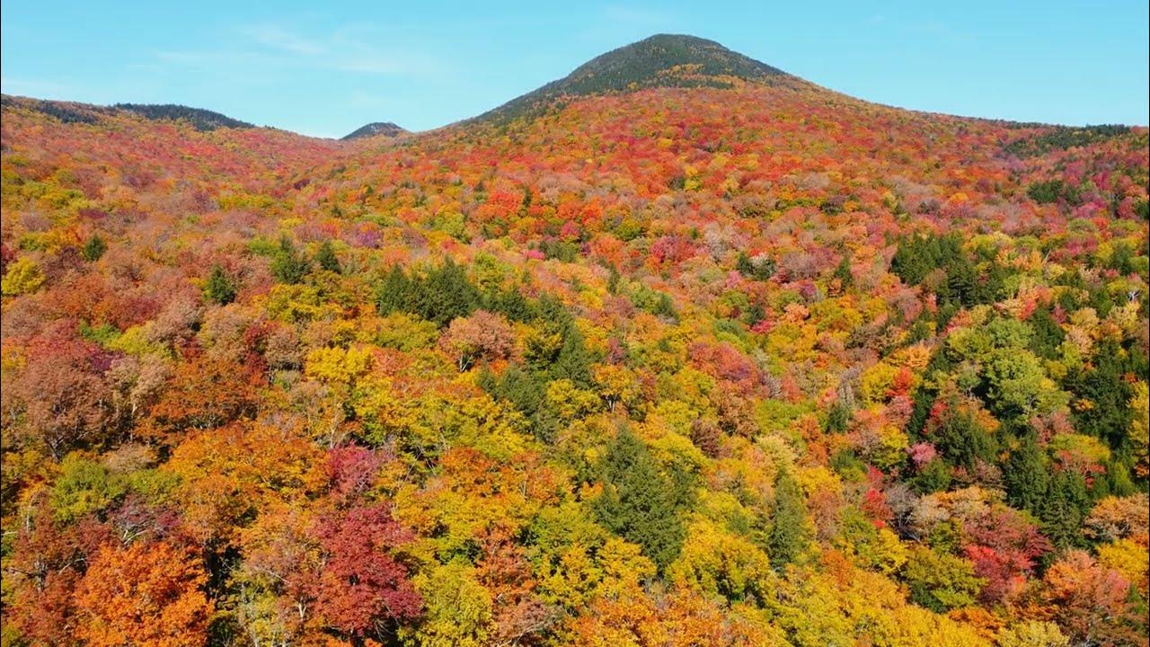 🍁🍂Aerial View of Peak Fall Foliage Vermont - YouTube