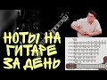 Как выучить ноты на гитаре за день!