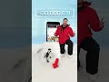 mrbeast 405m subscribers Top youtuber number one mrbeast #mrbeast #funny #viral #shorts