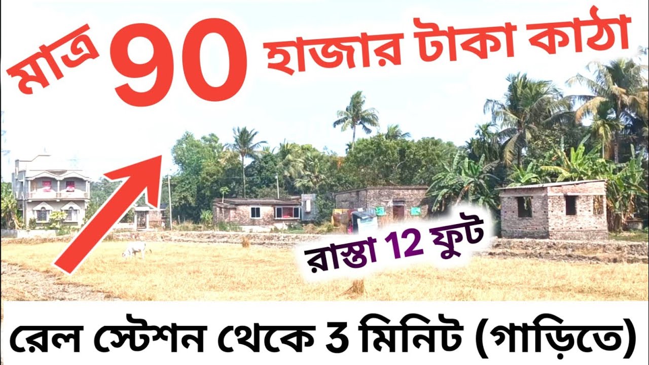 মাত্র 90 হাজার টাকা কাটা জমি কিনুন | low price land sale | land sale in kalikapur #land 