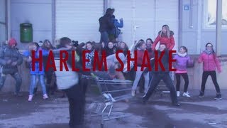 HARLEM SHAKE [ Lentvaris Edition ]