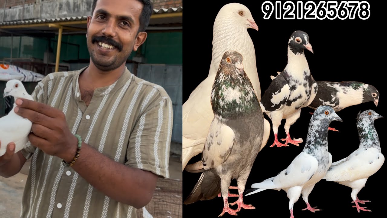 Amit da has visited my loft in Guntur | Andhra Pradesh - 9121265678