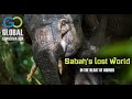 Sabah's Lost World - In the Heart of Borneo