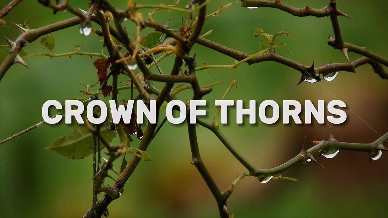 👑 Crown of Thorns - Official Lyric Video 👑 - YouTube