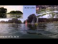 Victoria Day 20th June 2026 Race #1 narrated