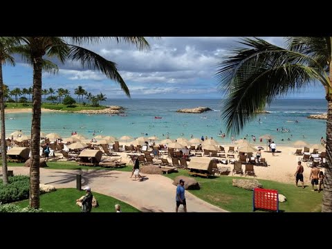 Video: ¿A que distancia esta Hawai de Sydney?