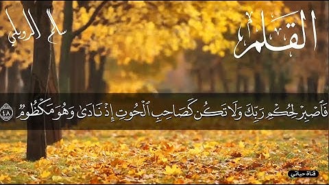 سورة القلم ❤️تلاوة هادئـة وسكينة للقارئ سالم الرويلي ❤️راحه نفسيه/ارح سمعك /ارح قلبك❤️