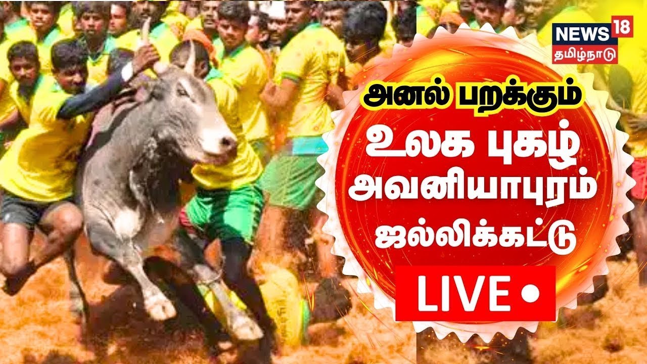 🔴LIVE Avaniyapuram Jallikattu 2024 உலக புகழ் அவனியாபுரம்
