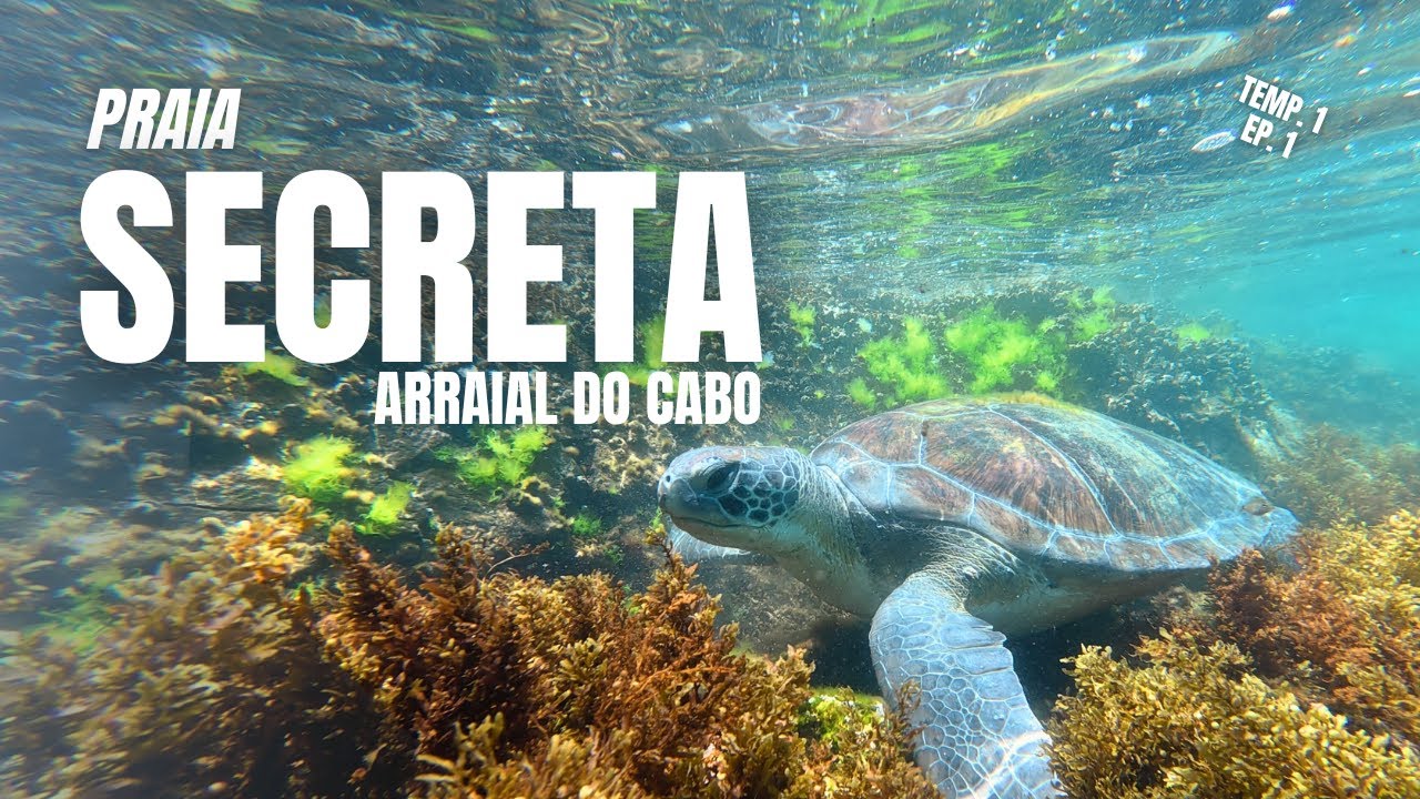 MERGULHANDO COM TARTATUGAS EM UMA PRAIA SECRETA