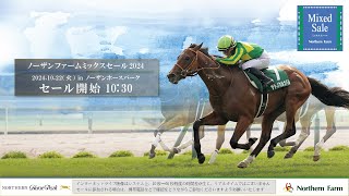 セール結果|ノーザンファームミックスセール セール結果|ノーザンファームミックスセール