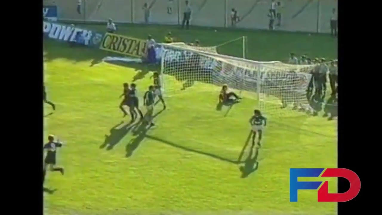 Goles Fecha 28 Campeonato Nacional 1991