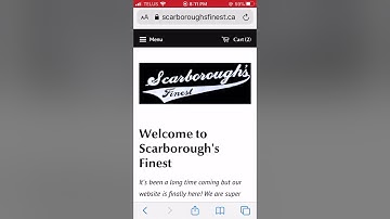 How to use the customizer SPOD