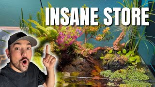 Arizona’s Most INSANE Fish & Aquarium Store (Full Tour)
