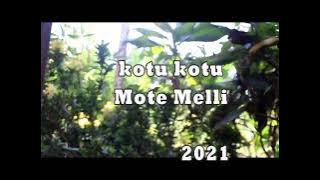 Dimi Yege Kotu-kotu.  Video Music. Mote Meli 2021 ( KND) Nogey Deiyai