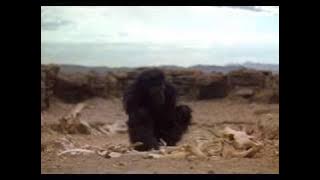 2001: A Space Odyssey - The Dawn of Man