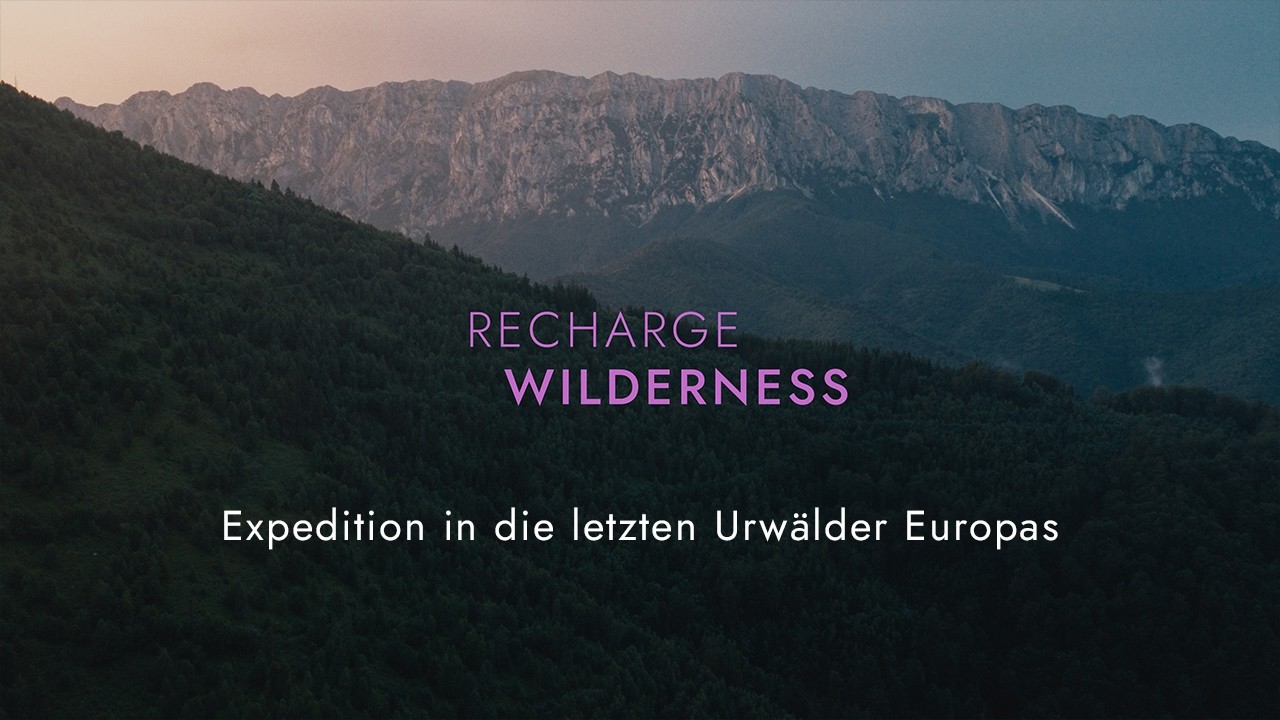 Expedition in die letzten Urwälder Europas | Recharge Wilderness