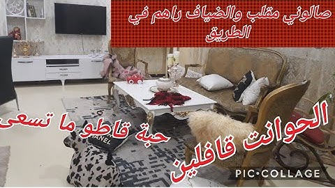افكار لضيف الغفلة👍الدار مقلبة😲🤤جاوني ضياف على غفلة 😑كيفاه تصرفت🏃‍♀️🏃‍♂️ قولولي رايكم ؟؟