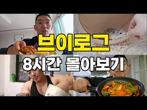 브이로그 8시간 몰아보기