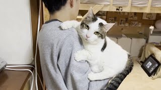 次々と色々なスキルを身に着けていく猫