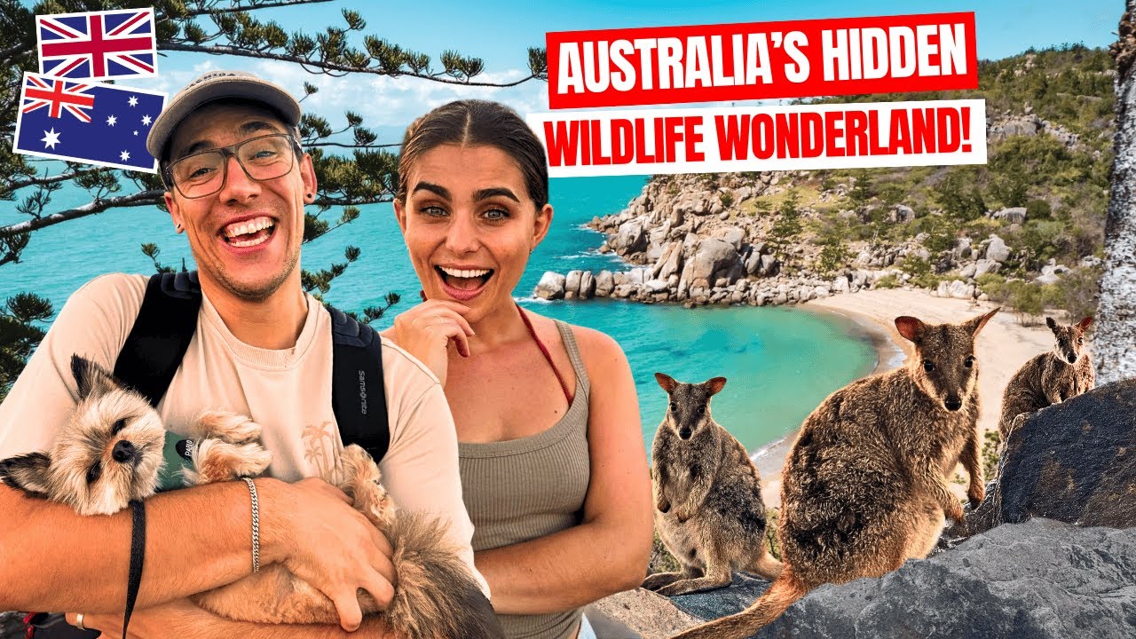 We Took Our Dog to Magnetic Island… Then THIS Happened! 🐶🇦🇺