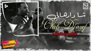 Cheb Djozef 2020 - Cha Darhali (Clip Officiel) | شاب جوزاف - شا دارهالي