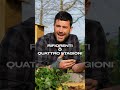 non tutte le #fragole sono uguali #mattthefarmer #rifiorenti #orto #faidate