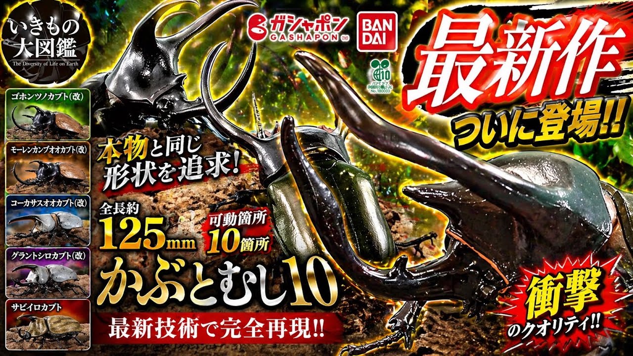 Gachapon] The Great Encyclopedia of Living Things 'Beetle 10