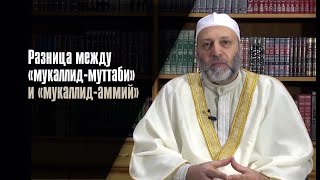 Разница Между «Мукаллид-Муттаби» И «Мукаллид-Аммий»