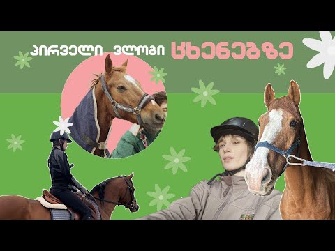 ჩემი პირველი ვლოგი \"ცხენებზე\"